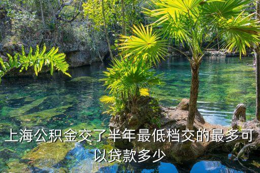 車輛抵押貸款 上海(抵押上海貸款車輛怎么辦)? (http://www.tony-an.com/) 知識問答 第3張