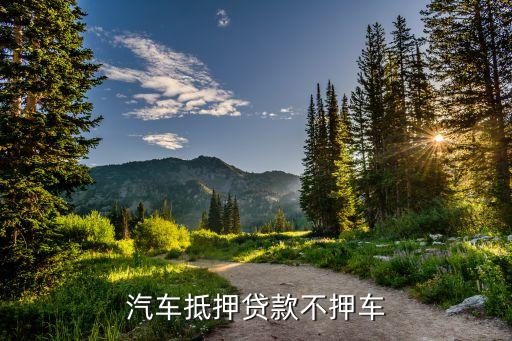 車輛抵押貸款哪個平臺利息最低(專業(yè)汽車抵押貸款利息低)? (http://www.tony-an.com/) 知識問答 第1張