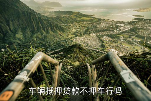 車輛抵押貸款哪個平臺利息最低(專業(yè)汽車抵押貸款利息低)? (http://www.tony-an.com/) 知識問答 第3張