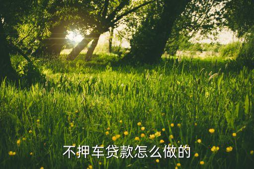 車子抵押貸款不押車(抵押車貸款風險大嗎)? (http://www.tony-an.com/) 知識問答 第1張