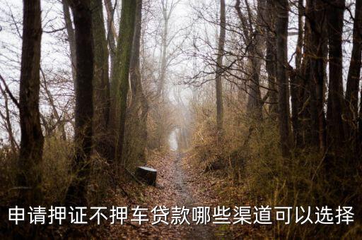 車子抵押貸款不押車(抵押車貸款風險大嗎)? (http://www.tony-an.com/) 知識問答 第3張
