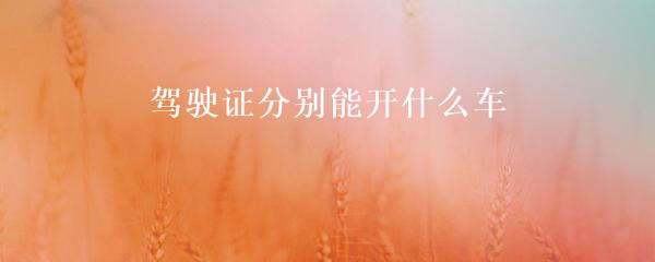 民間貸款公司(民間借貸的公司)? (http://www.tony-an.com/) 知識問答 第3張