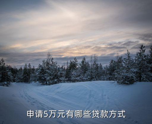 怎么能貸款5萬(能貸款的平臺(tái)有哪些)? (http://www.tony-an.com/) 知識(shí)問答 第1張