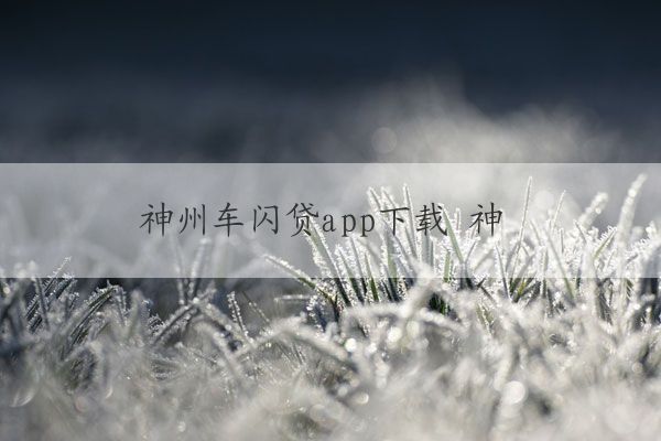 神州車閃貸app(神州閃貸抵押車安全嗎)? (http://www.tony-an.com/) 知識問答 第1張