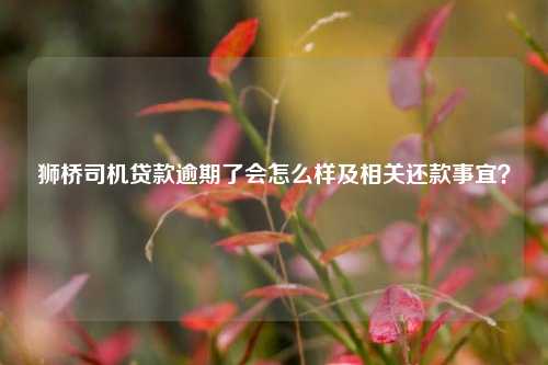獅橋車抵貸(獅橋車抵貸利率是多少)？ (http://www.tony-an.com/) 知識問答 第1張