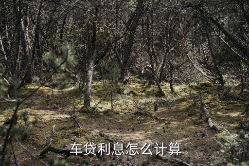 車抵貸哪家銀行利息低(低利息抵押貸款)？ (http://www.tony-an.com/) 知識問答 第1張