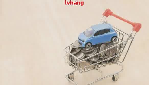 有車輛抵押貸款(抵押貸款車輛有什么影響)？ (http://www.tony-an.com/) 知識問答 第1張