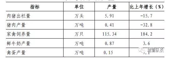 上海私家車抵押(上海抵押車私人抵押)？ (http://www.tony-an.com/) 知識問答 第2張