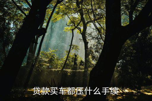按揭需要抵押機動車登記證嗎(按揭車要抵押登記證書)？ (http://www.tony-an.com/) 知識問答 第3張
