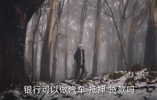 車抵押貸額度(抵押車貸款金額)？ (http://www.tony-an.com/) 知識問答 第3張