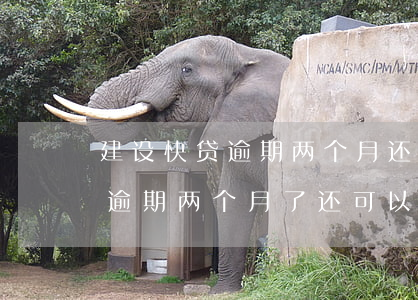 汽車抵押快貸(抵押車貸款有什么坑)？ (http://www.tony-an.com/) 知識問答 第1張