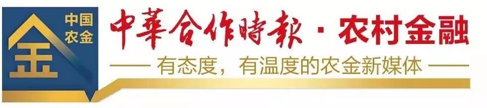 璜涇鎮(zhèn)汽車(chē)抵押貸款(專(zhuān)業(yè)汽車(chē)抵押貸款)？ (http://www.tony-an.com/) 知識(shí)問(wèn)答 第2張