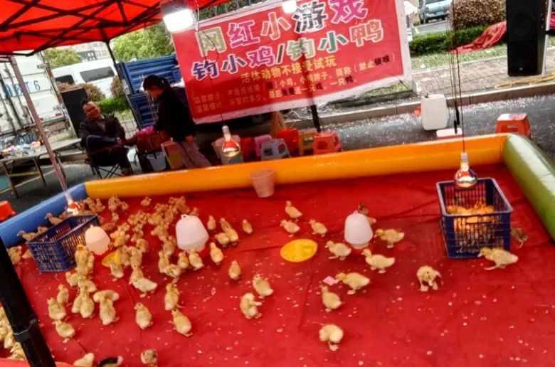常州車輛抵押貸款(常州抵押貸款車輛怎么過戶)？ (http://www.tony-an.com/) 知識問答 第11張