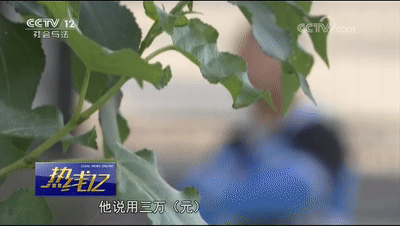車(chē)輛抵押貸款套路(抵押車(chē)套路貸怎么報(bào)案)？ (http://www.tony-an.com/) 知識(shí)問(wèn)答 第4張
