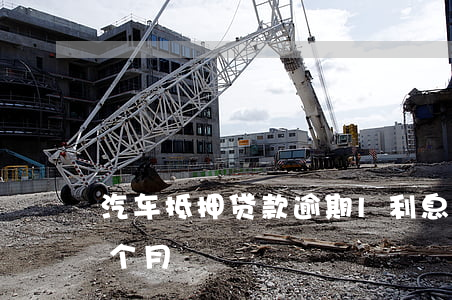 車抵押貸款的利息(抵押車子貸款利息)？ (http://www.tony-an.com/) 知識問答 第2張