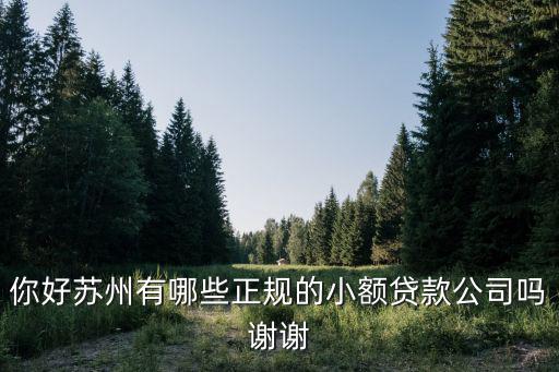 蘇州無抵押信用貸款(蘇州正規貸款企業)？ (http://www.tony-an.com/) 知識問答 第1張