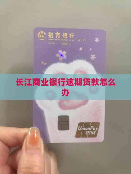 車輛 抵押貸款咨詢(逾期貸款處理方法)？ (http://www.tony-an.com/) 知識問答 第2張